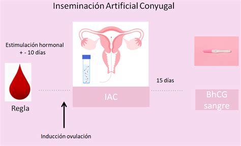Gráfico comparativo de precios de Inseminación Artificial Conyugal vs. Inseminación Artificial de Donante