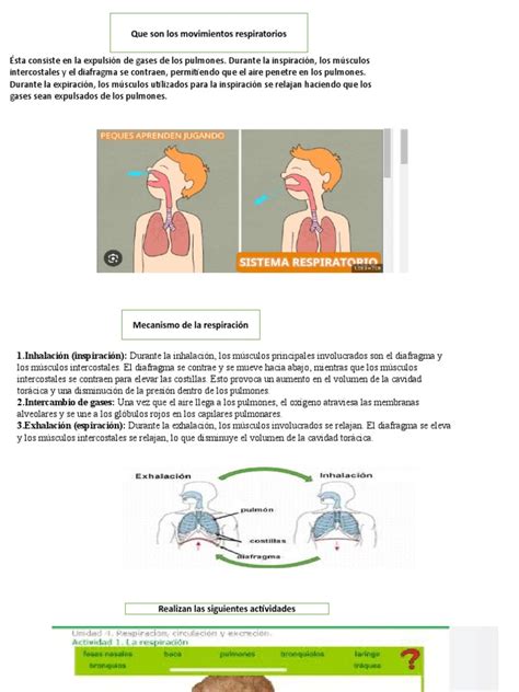 Diagrama que ilustra el mecanismo de inspiración y espiración en un resucitador manual