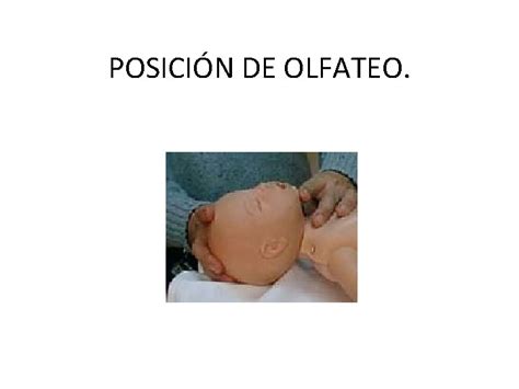 Ilustración de la posición de olfateo correcta para la ventilación, con especial atención a la adaptación para niños con occipucio grande