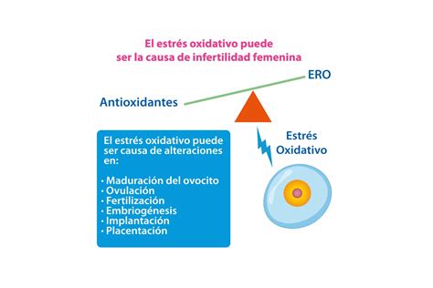 Esquema del estrés oxidativo y su impacto en el espermatozoide