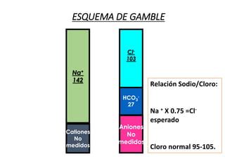 Esquema característico de Gamble mostrando la electroneutralidad del plasma (Gamblegrama)