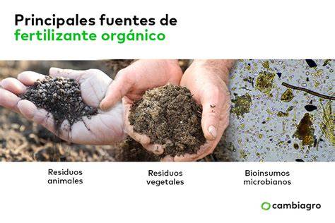 Ilustración histórica de uso de fertilizantes orgánicos