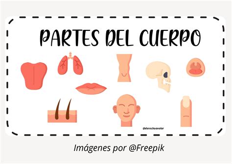 Esquema de las partes del jefe 