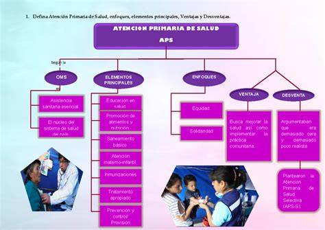 Esquema de las opciones de profesionales en atención primaria