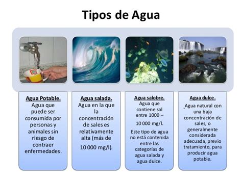 Esquema visual que compara diferentes tipos de agua y sus características principales