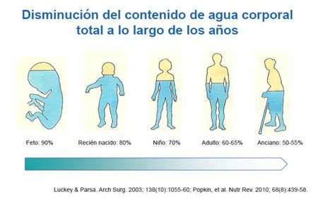 Esquema comparativo del porcentaje de agua corporal total: desde el nacimiento (75-80%) hasta la edad adulta (50-60%)