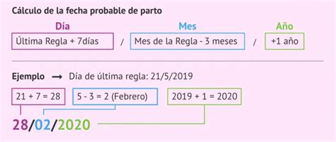 Esquema cronológico que muestra la diferencia entre la fecha de la última regla, el momento de la ovulación y la fecha probable de parto.