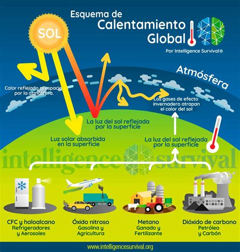 Infografía: Diagrama mostrando cómo el calentamiento suave preserva nutrientes