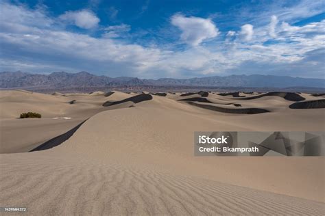 Foto de dunas de copa de mezquite en Chihuahua