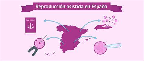 Esquema del marco legal de la reproducción asistida en España