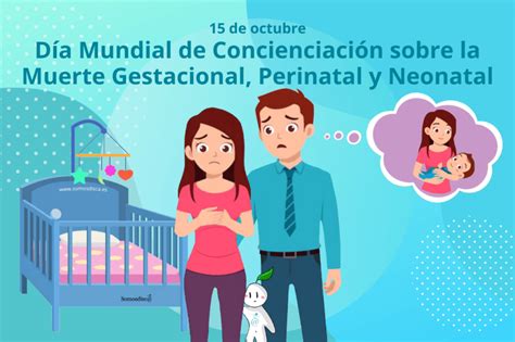 infografía sobre causas de muerte gestacional y perinatal