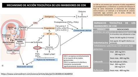 Diagrama: Mecanismo de acción de los tocolíticos y corticoides en el parto prematuro