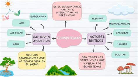 Infografía o esquema de los factores a considerar al seleccionar fertilizantes potásicos