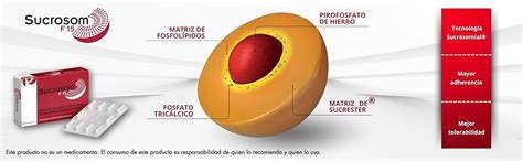 Esquema de la estructura del Hierro Sucrosomial, mostrando el núcleo de pirofosfato férrico rodeado por fosfolípidos y ésteres de sacarosa.