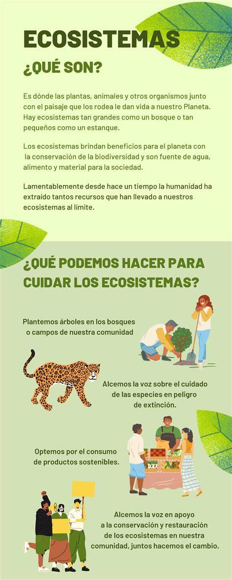Infografía sobre los materiales seguros para pendientes de bebé