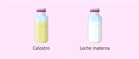 Ilustración esquemática del calostro como la primera leche materna, destacando su rol en la activación del sistema inmunológico del recién nacido.
