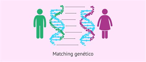Diagrama que ilustra los diferentes tipos de matching (fenotípico, inmunológico, genético y facial) para la asignación de donantes de óvulos.