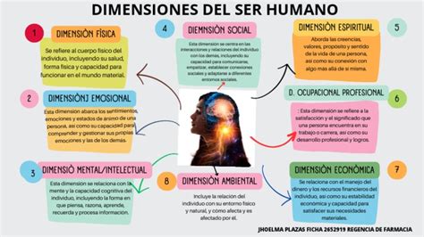 Diagrama que ilustra las cuatro dimensiones del ser humano a acompañar en el final de la vida