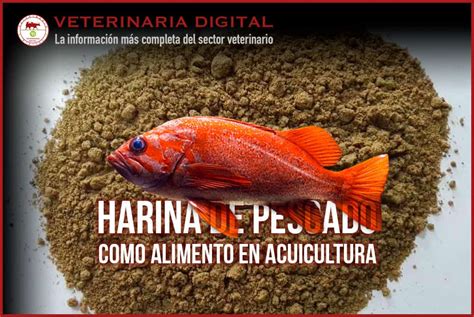 Esquema del ciclo de producción y uso de la harina de pescado como fertilizante orgánico.