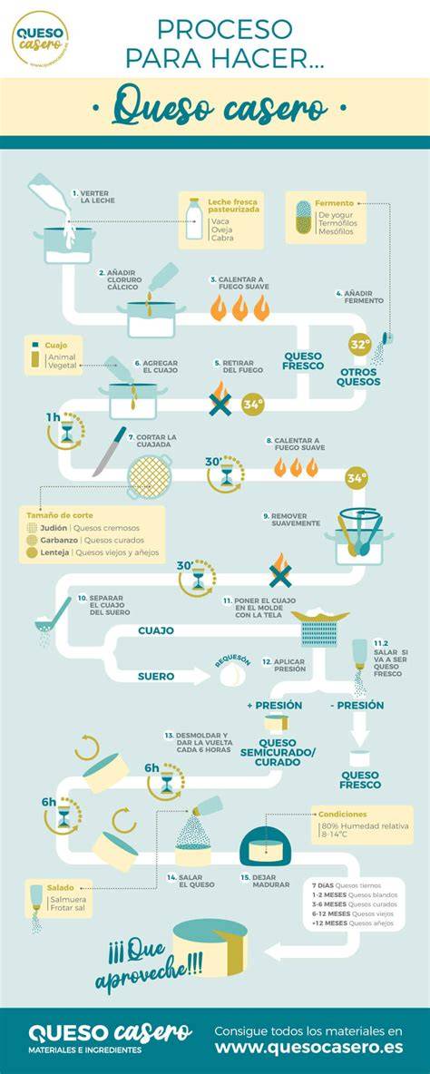 Infografía: Proceso de elaboración del queso y reducción de lactosa