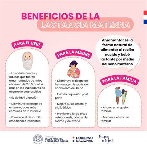 Esquema sobre los beneficios de la lactancia materna frente a la fórmula infantil en etapas tempranas.
