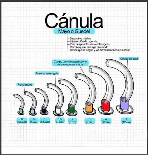 Esquema comparativo de una cánula para DIU y una cánula para transferencia embrionaria.