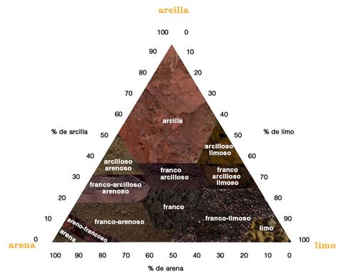 Gráficos comparativos de curvas de liberación de humedad para diferentes tipos de suelo (arena vs. arcilla), mostrando la relación entre contenido de agua y potencial hídrico.
