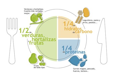 Esquema de una dieta equilibrada adaptada que muestra cómo triturar ingredientes básicos para mantener el valor nutricional.