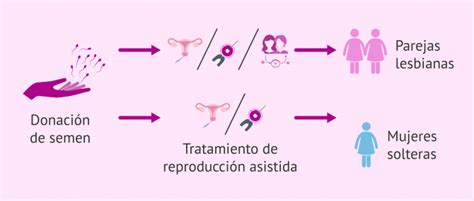 esquema de selección y cribado médico de un donante de semen anónimo