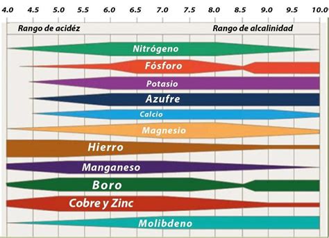 Esquema que muestra la relación entre el pH del suelo y la disponibilidad de nutrientes esenciales (macro y micronutrientes)