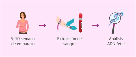 Esquema explicativo del funcionamiento del TPNI: extracción de sangre materna, separación del ADN fetal y análisis genético en laboratorio.