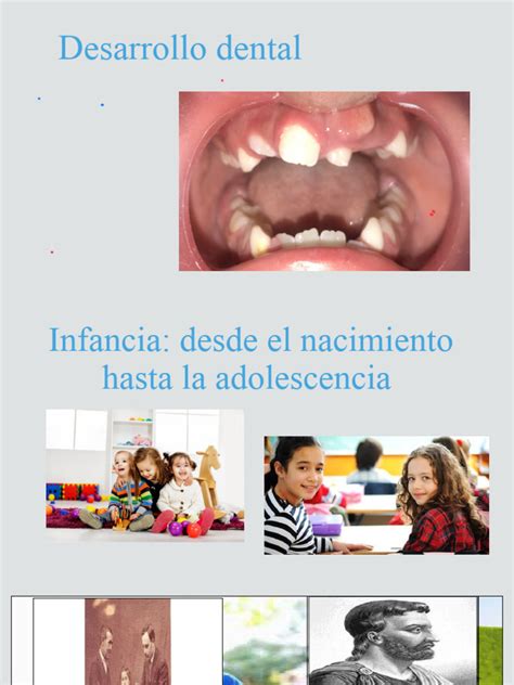 Esquema gráfico que muestra las etapas del desarrollo dental desde la lactancia hasta la adolescencia.