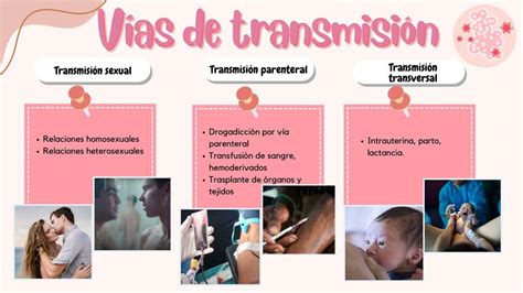 Infografía: Vías de transmisión de infecciones en el recién nacido