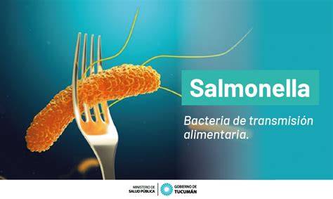 Esquema educativo que muestra cómo las bacterias como la Salmonella y la Listeria pueden contaminar alimentos crudos y el proceso térmico para eliminarlas