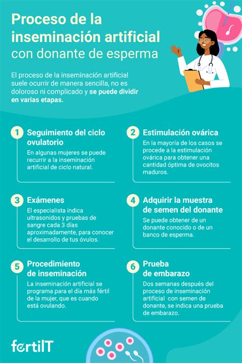 Infografía explicativa del proceso de inseminación artificial, mostrando la preparación del semen y su introducción en el útero.