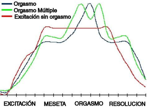Esquema de la anatomía reproductiva femenina durante la excitación sexual y el orgasmo