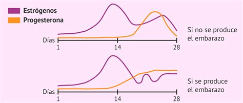Gráfico de seguimiento hormonal que muestra el aumento de progesterona desde la fase basal hasta el pico fértil.