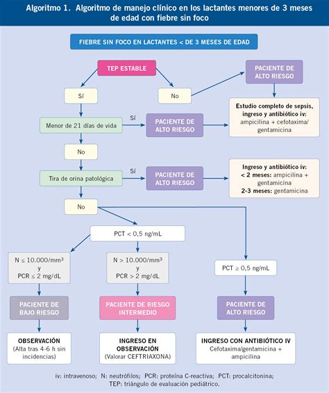 Esquema diagnóstico: flujo de atención para lactantes febriles menores de 3 meses con sospecha de infección del SNC.
