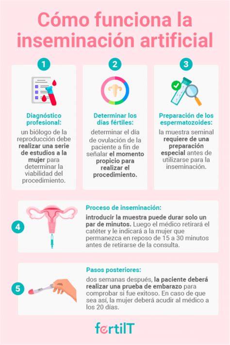 infografía que resuma visualmente las etapas de la inseminación artificial: desde la estimulación hasta la implantación