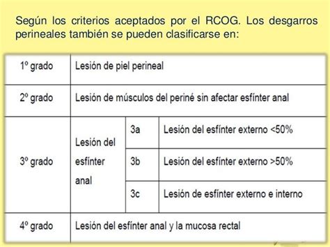 ilustración de los diferentes grados de desgarro perineal