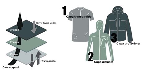 Esquema sobre el sistema de capas de ropa para recién nacidos según la temperatura ambiente