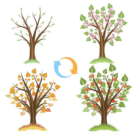 Infografía: Ciclo estacional del otoño con iconos de hojas, frutos (castañas, nueces) y elementos meteorológicos.