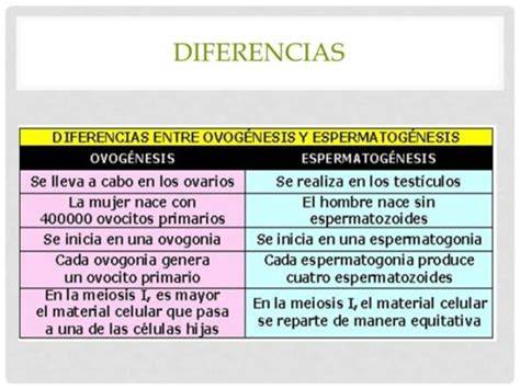 Esquema que muestra la diferencia entre un espermatozoide con movilidad progresiva (rápido y directo) y uno con movilidad no progresiva o inmóvil.