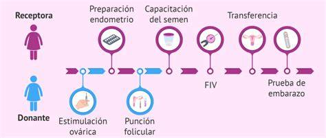 Esquema detallado del ciclo de ovodonación: desde la estimulación de la donante hasta la transferencia embrionaria a la receptora.