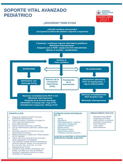 Esquema de las directrices de soporte vital pediátrico y neonatal