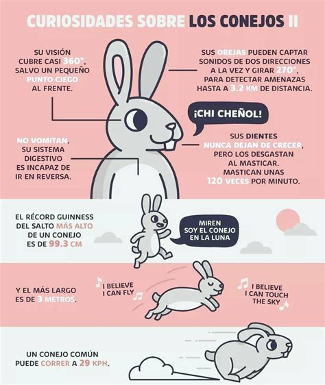 infografía sobre el significado del conejo y el huevo en la Pascua