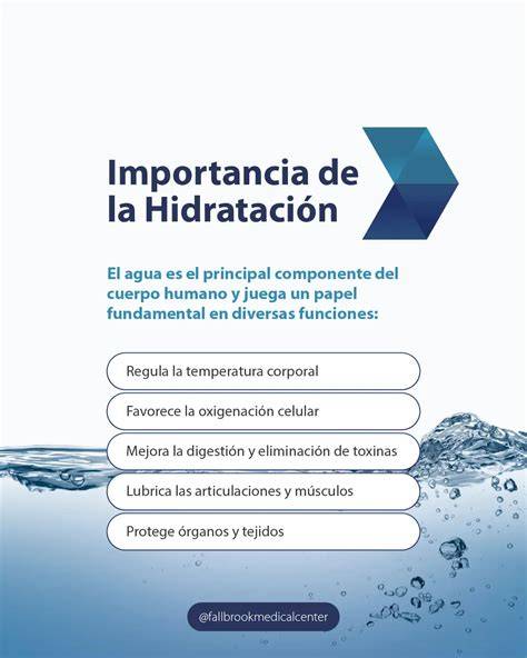 Esquema sobre la importancia del cuidado íntimo y la hidratación durante la recuperación posparto
