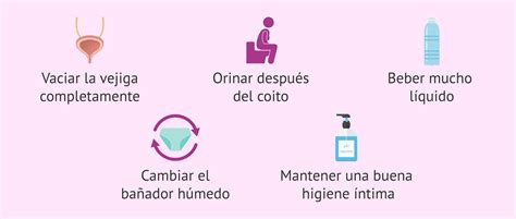 Infografía de consejos de prevención de infecciones urinarias