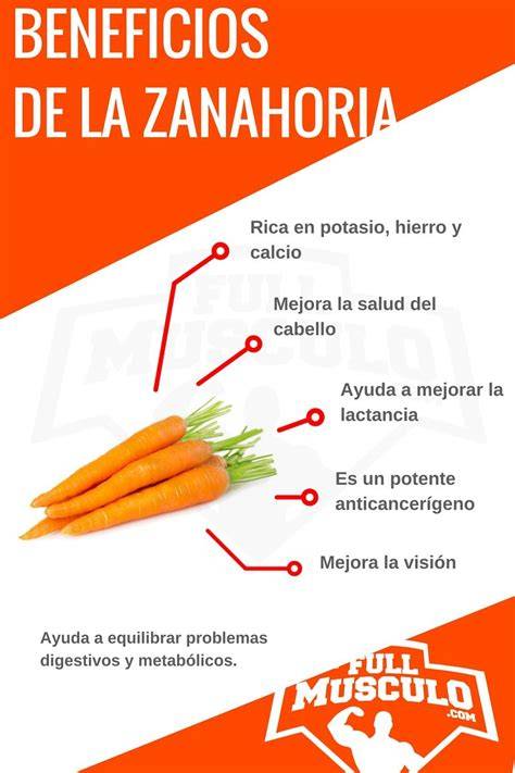 Infografía: Beneficios de la zanahoria para bebés (visión, huesos, piel, vitaminas)