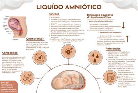 Esquema de las funciones del líquido amniótico y el feto en el útero
